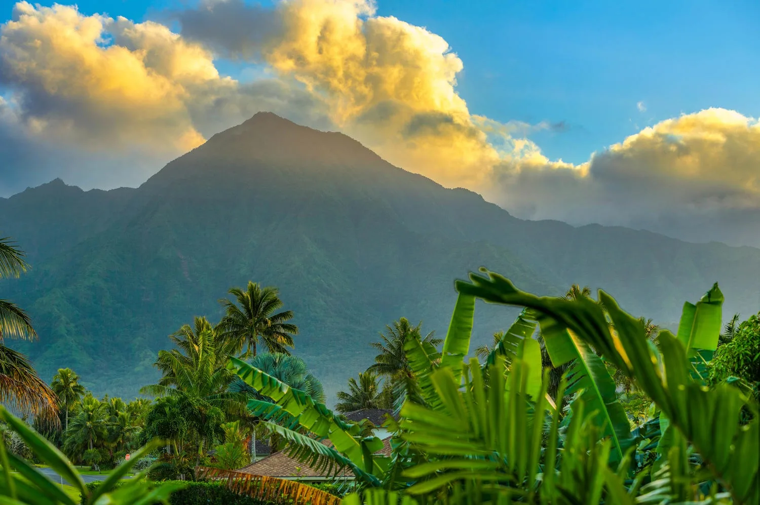 Un paisaje tropical frondoso con palmeras y una montaña bajo nubes doradas.