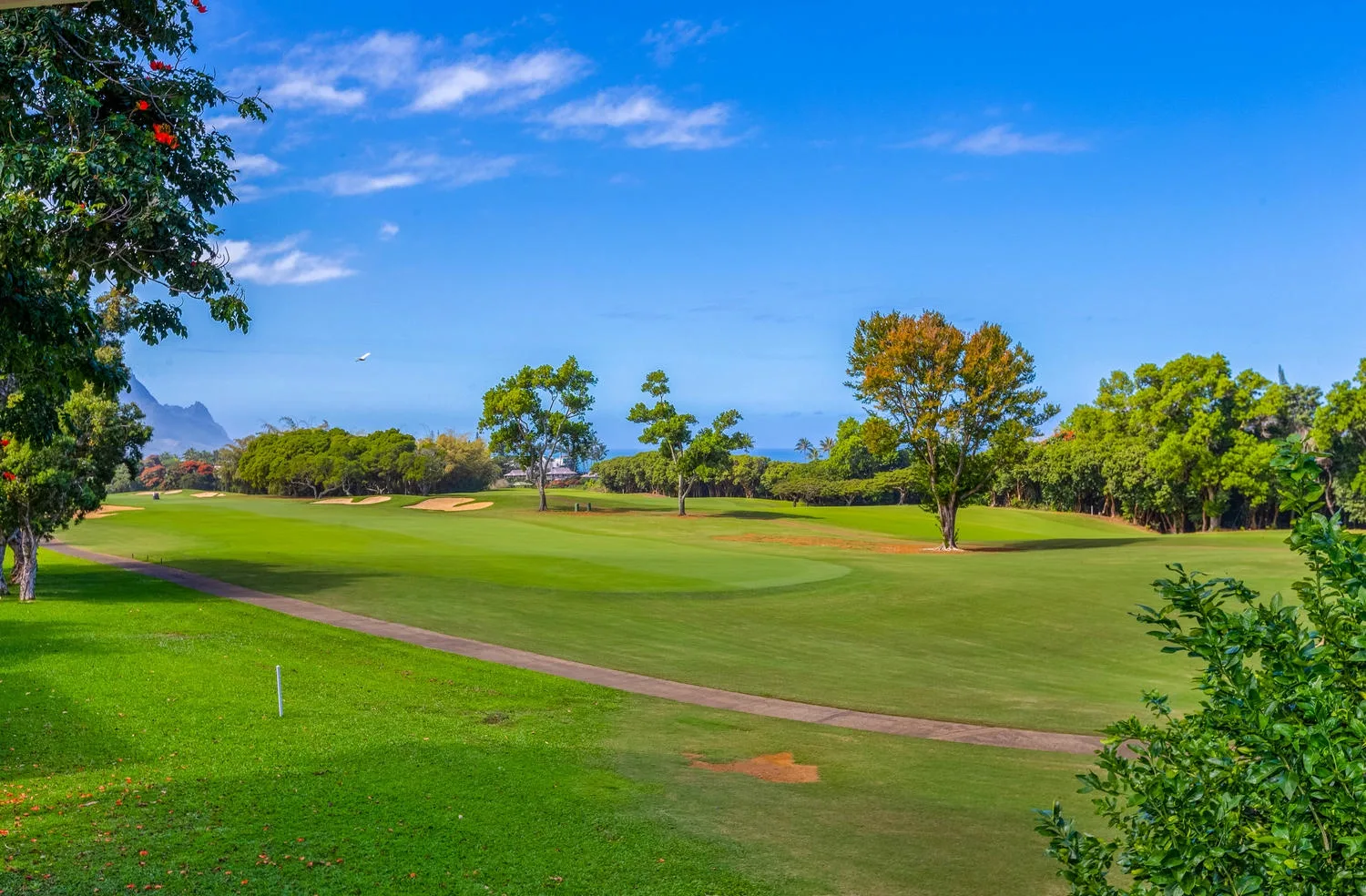 Un campo de golf con amplias zonas verdes, árboles dispersos y cielo azul.
