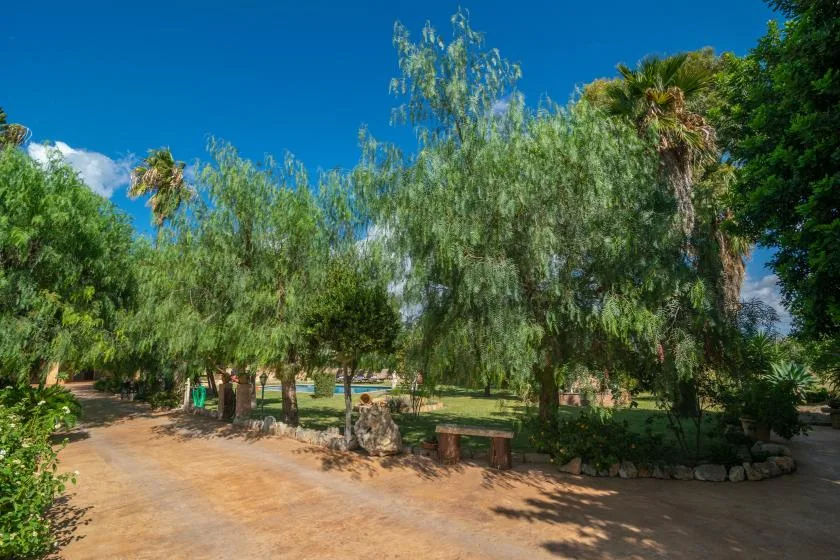 A shaded garden path winds beneath leafy trees, with benches along the way.