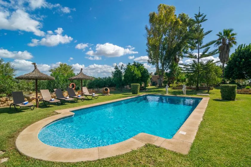 A swimming pool sits in a sunny garden with lounge chairs nearby.