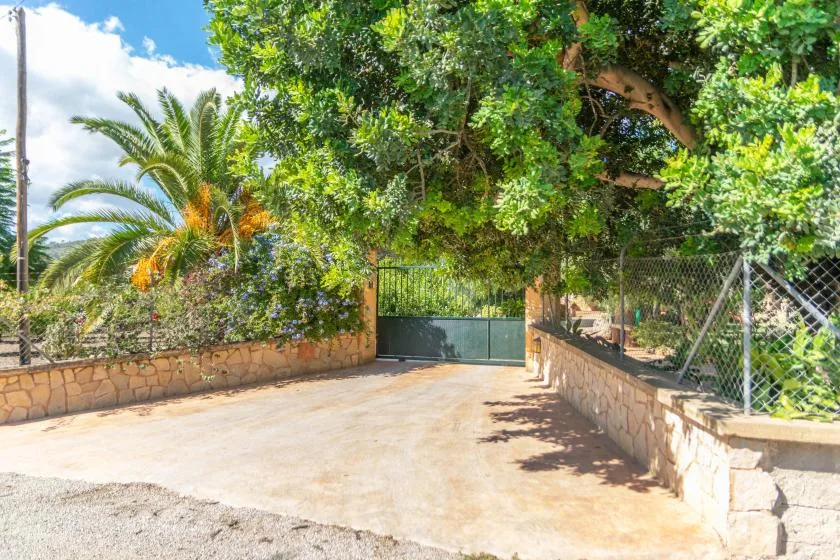 Outdoor driveway leading to a closed gate, bordered by stone walls and leafy trees.