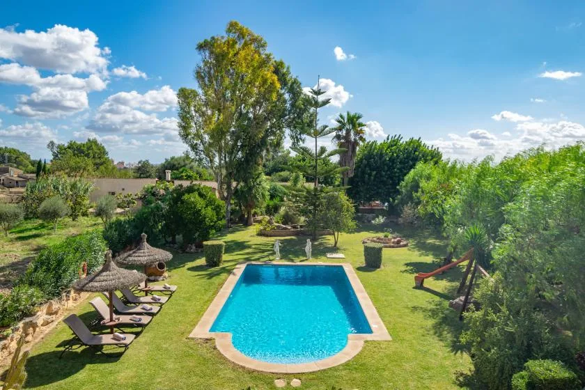 A swimming pool sits in a sunny garden surrounded by greenery and lounge seating.