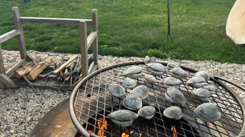An outdoor fire pit with stones sits beside a grassy area.