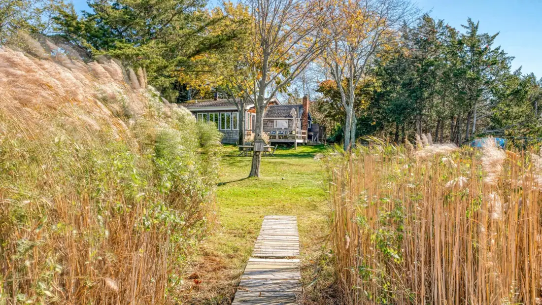 A wooden walkway passes through tall grasses toward a small building among trees.