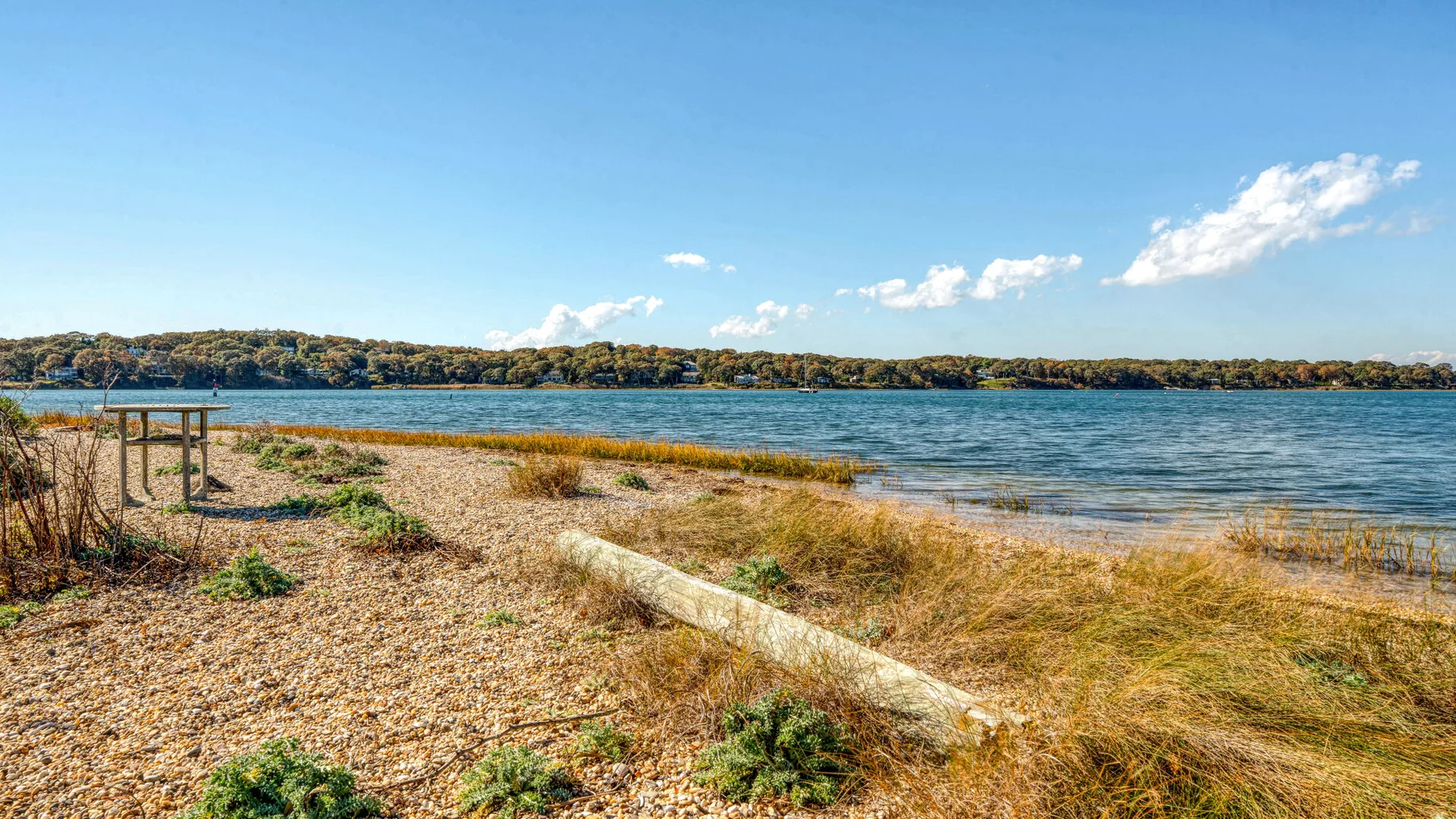A sandy lakeshore with driftwood and low vegetation beside the water.