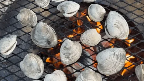 Clams cook over an open flame on a metal grill.