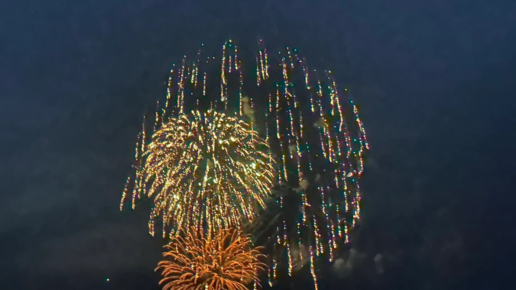 Fireworks burst in the night sky, scattering bright sparks.