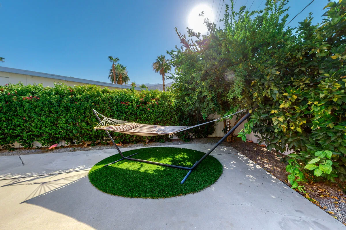 The Arrow of Twin Palms - Midcentury Alexander - 3505