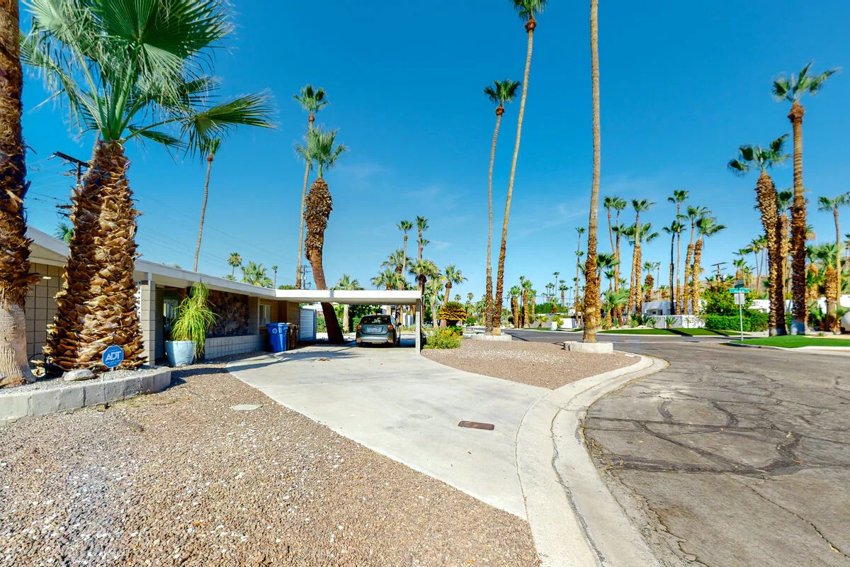 The Arrow of Twin Palms - Midcentury Alexander - 3505