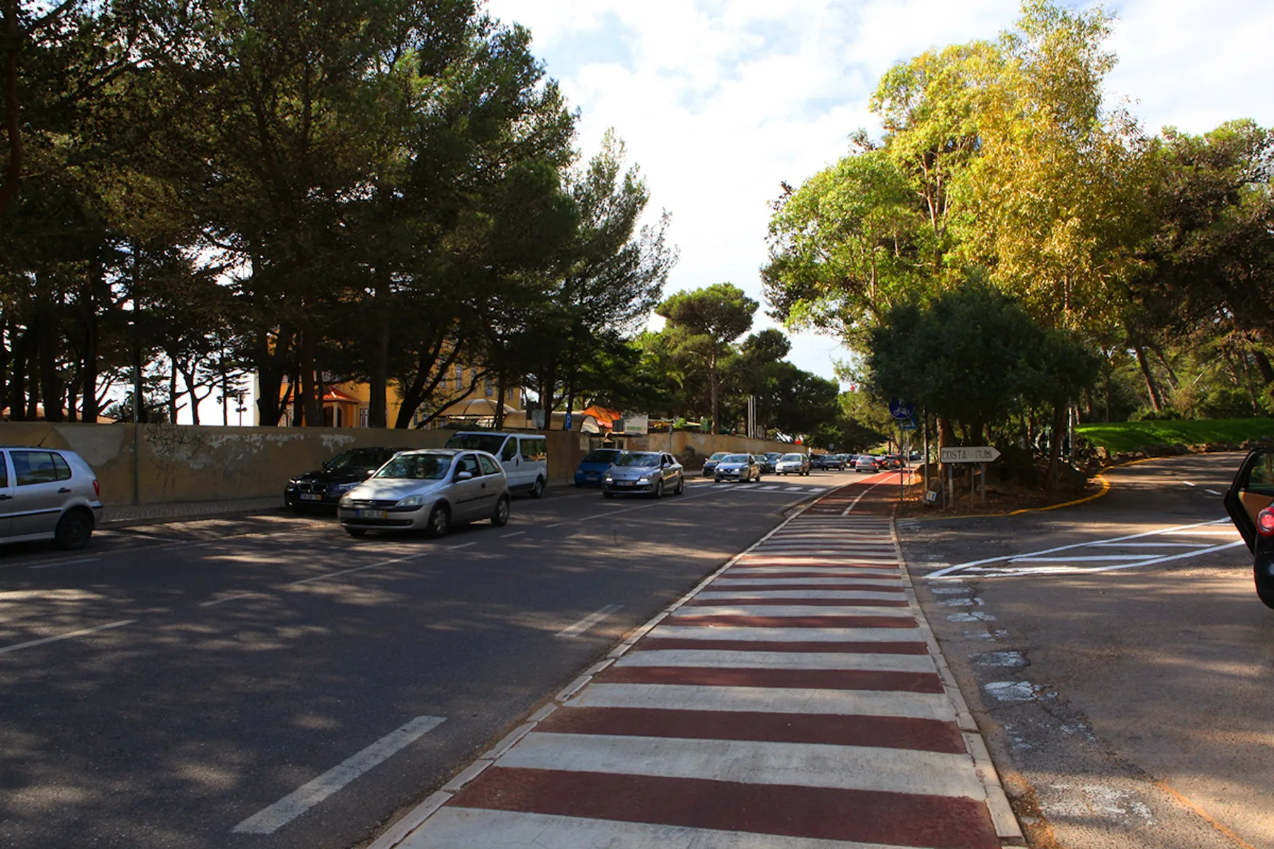 Una calle arbolada con coches aparcados y un paso de peatones a rayas.