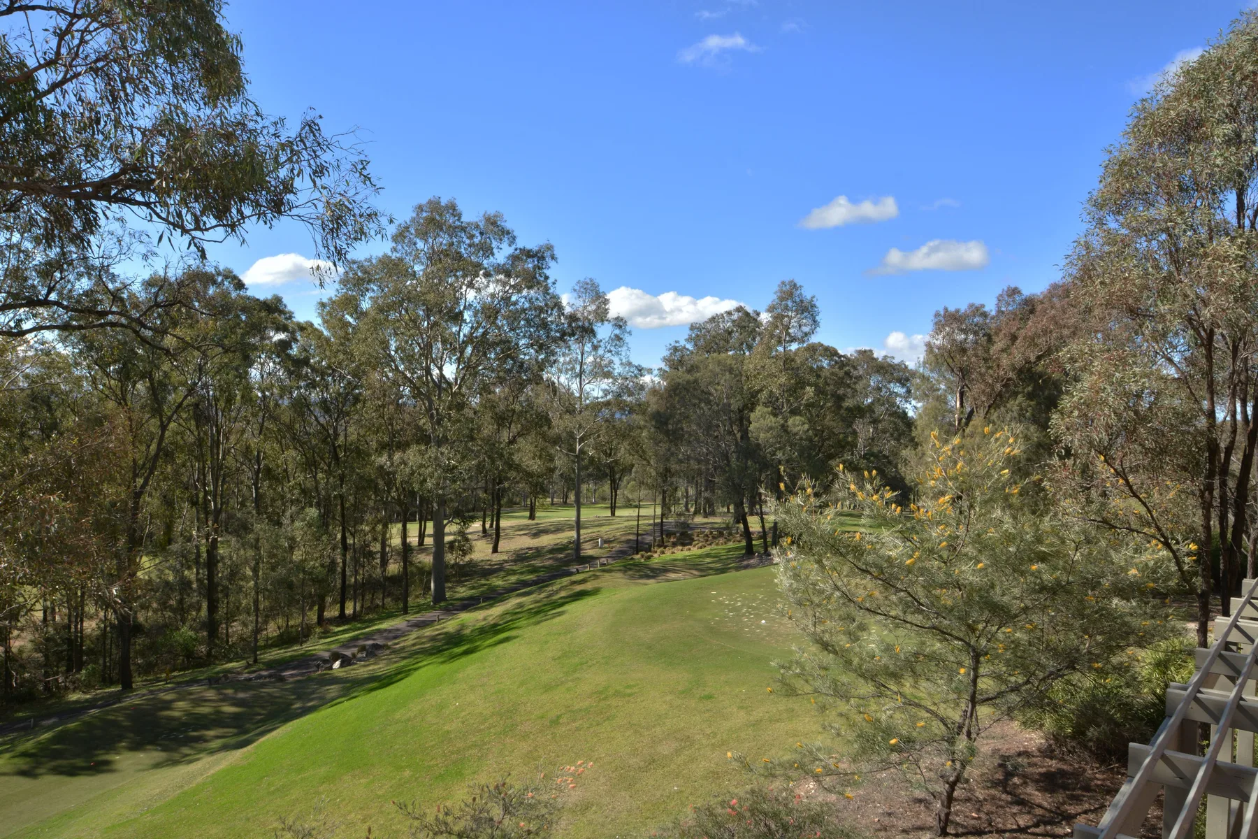 A grassy lawn bordered by trees beneath a clear blue sky.