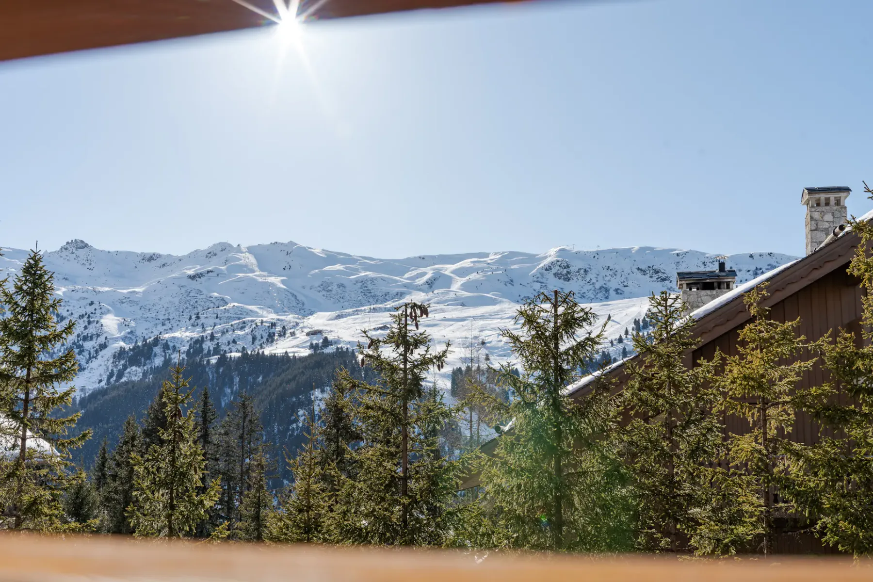 El sol brilla sobre una cordillera cubierta de nieve bajo un cielo azul despejado, enmarcada por árboles de hoja perenne en primer plano.