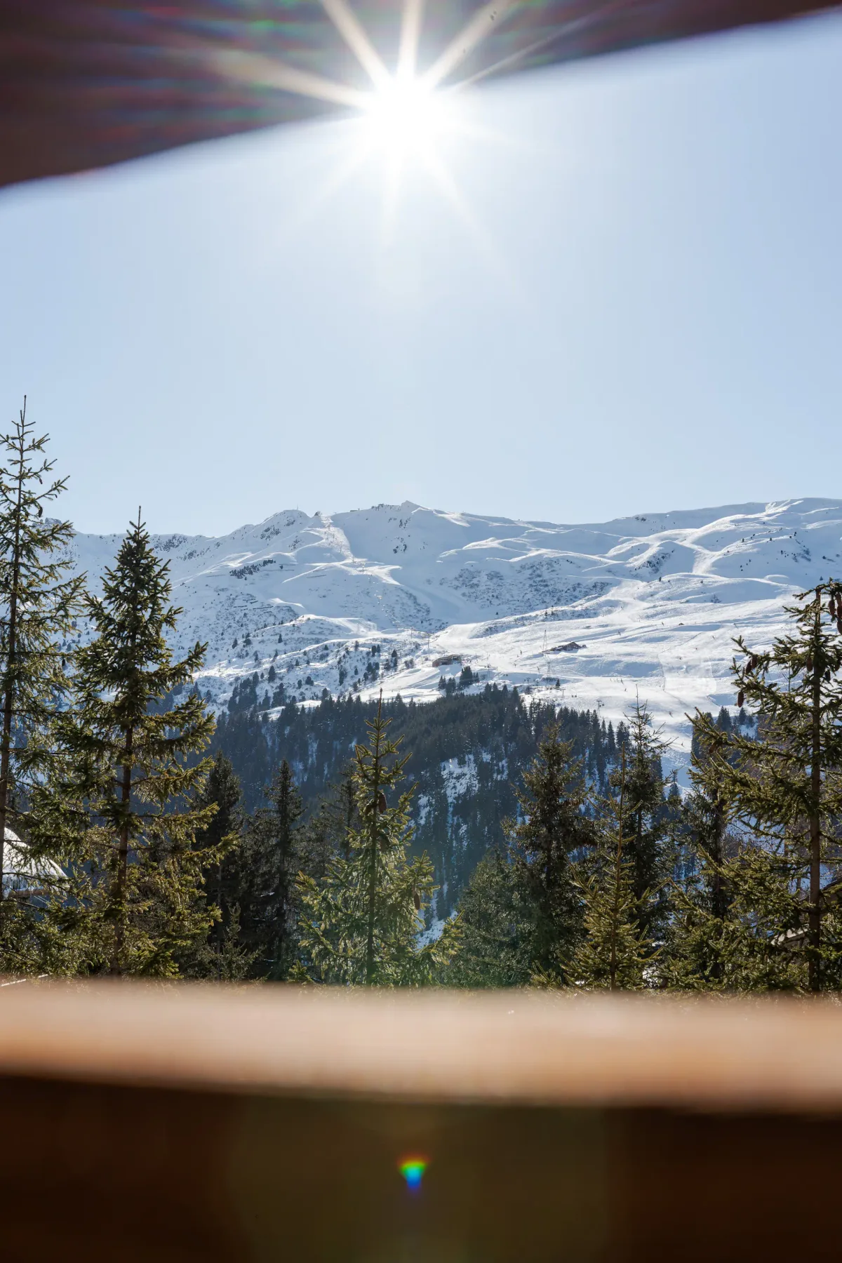 El sol brilla sobre una cordillera cubierta de nieve bajo un cielo azul despejado, enmarcada por árboles de hoja perenne en primer plano.
