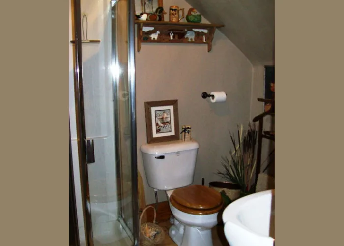 Ladies & Gents bathroom