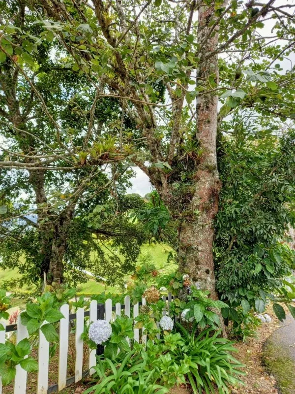 Hotel property photo