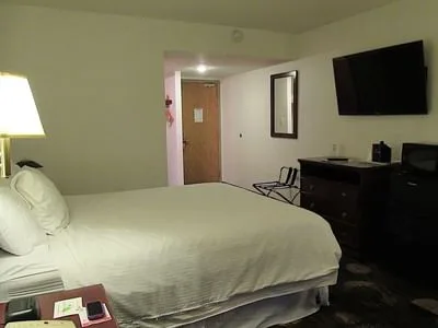 Standard queen room