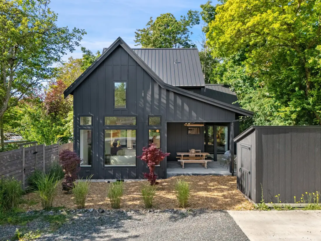 The Black Squirrel in Fairhaven