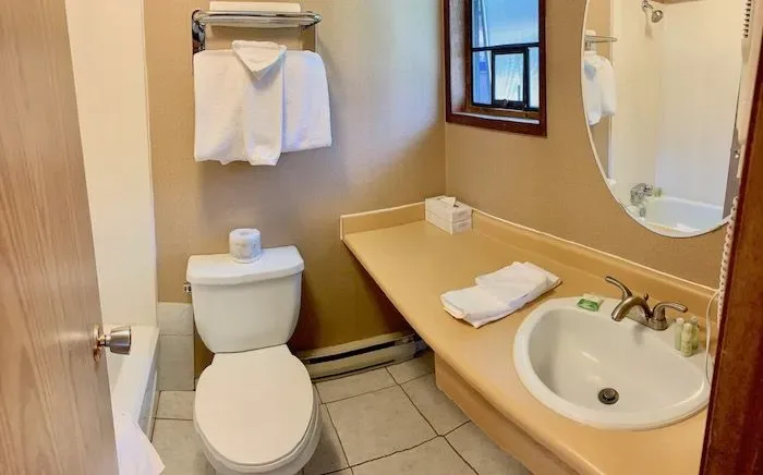 Guest bathroom with toilet, sink and window.
