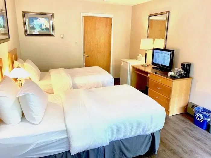 Twin room with two beds, desk, TV and mini-fridge.