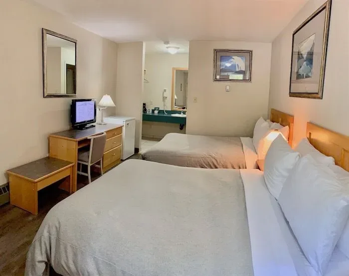 Double Lodge room with two beds and desk with TV.