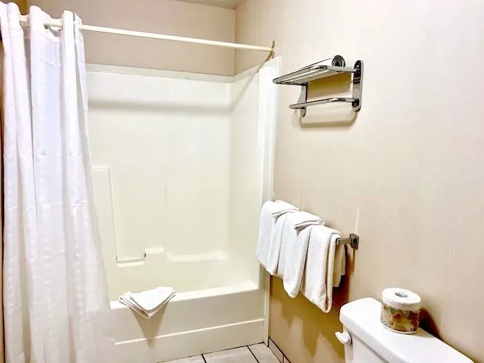 Twin room bathroom with shower and toilet.