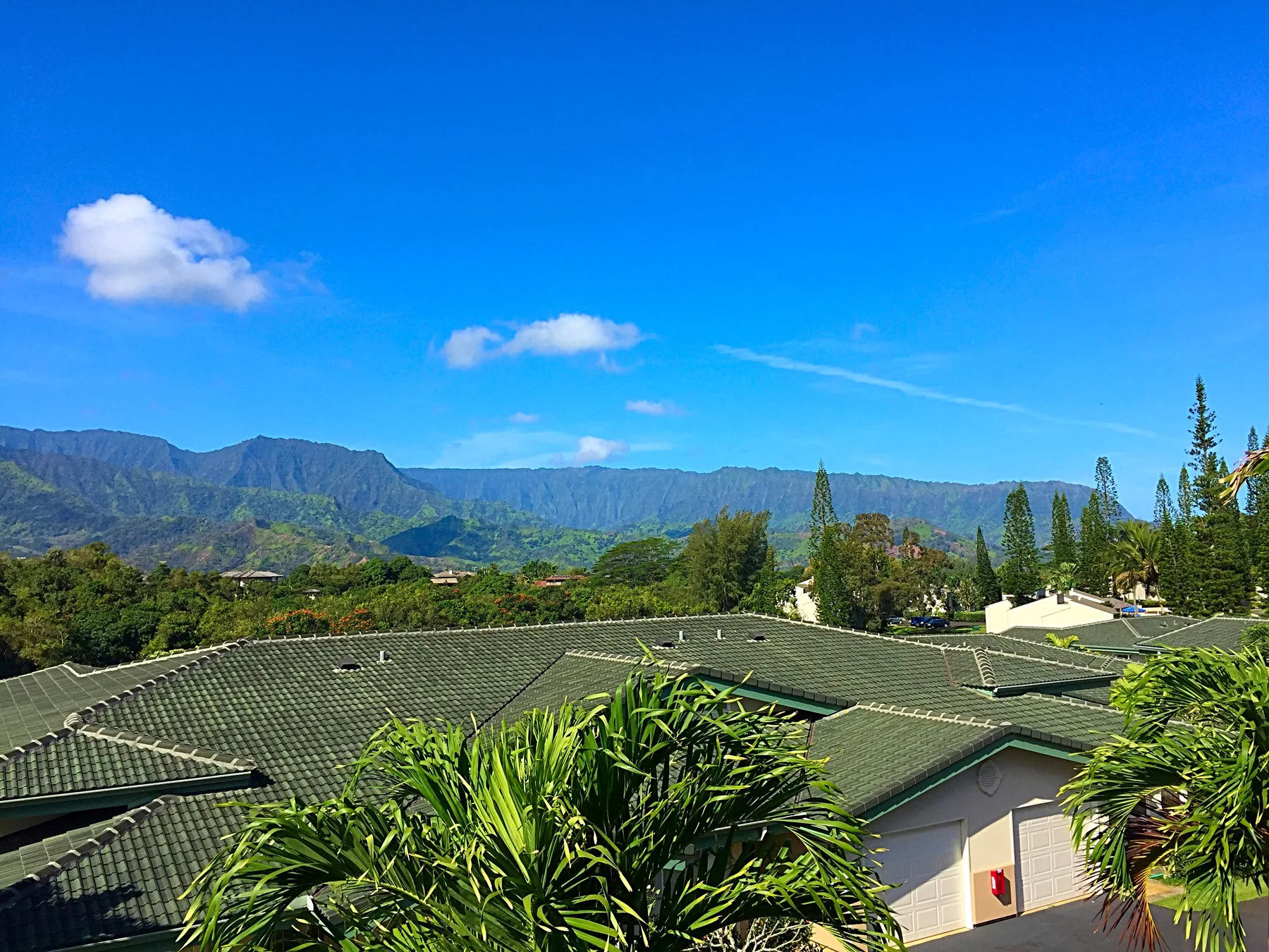 A mountain landscape rises behind rooftops and tropical greenery beneath a clear blue sky.
