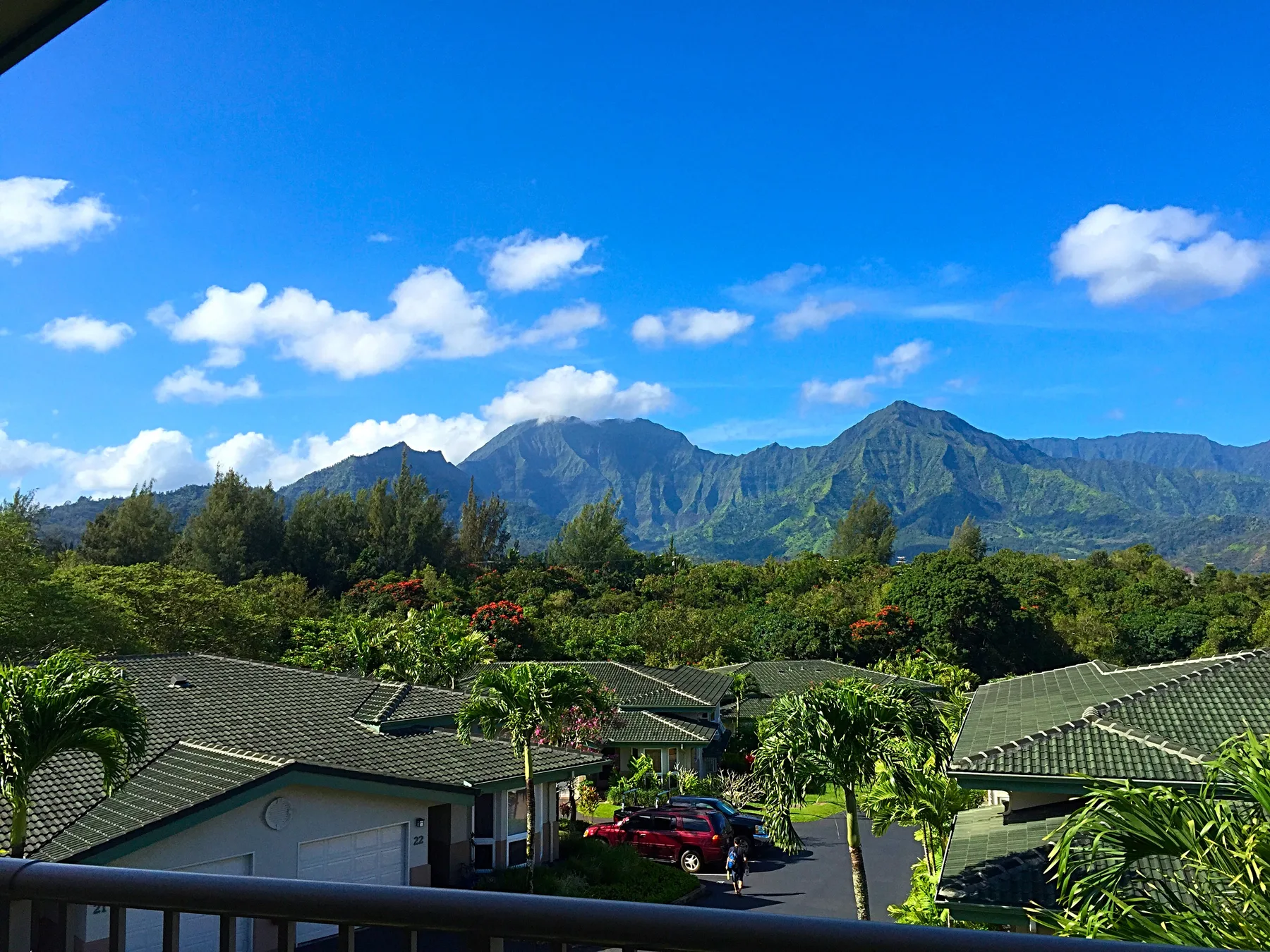 A mountain range rises behind green-roofed buildings and tropical landscaping.