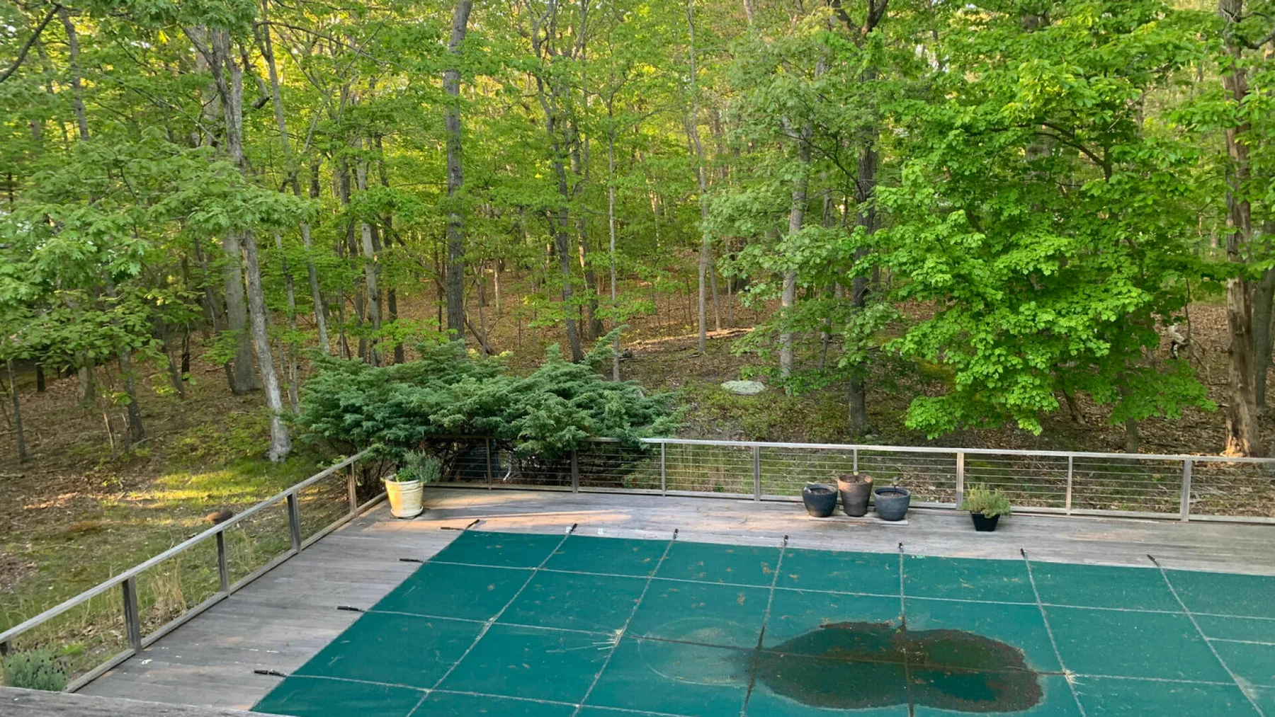A tennis court bordered by a wooded area, with a small puddle on the surface.