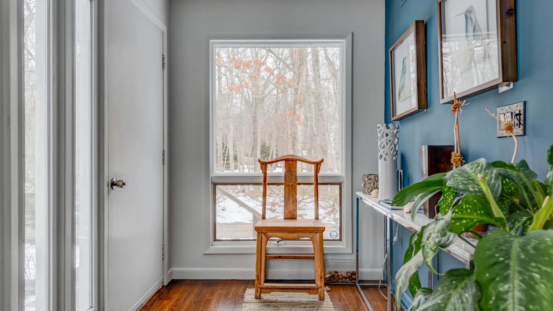 A bright room with framed artwork, a wooden chair, and a large leafy plant.