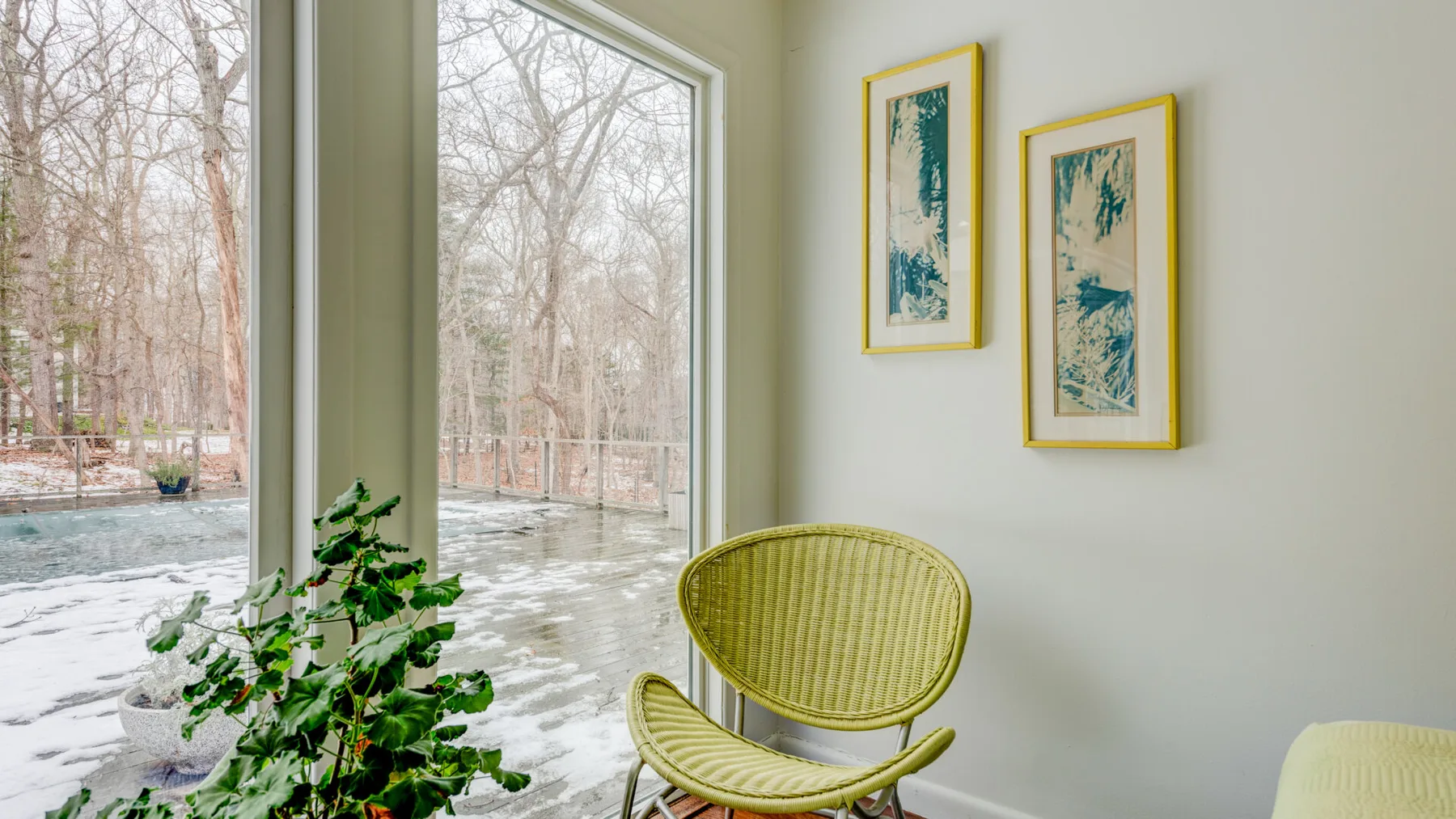 A sunroom with large windows, a woven chair, and a leafy plant.