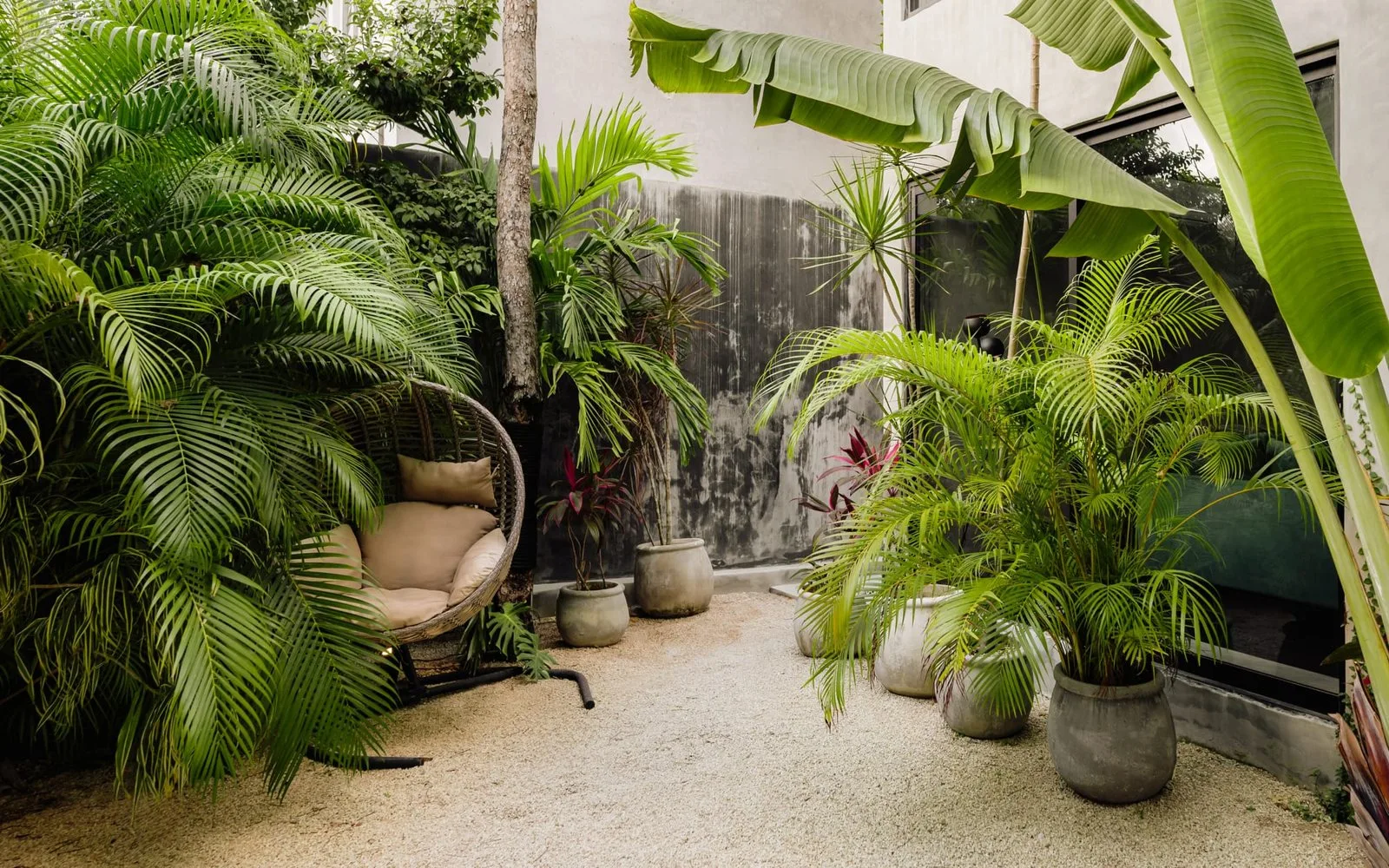 A plant-filled outdoor patio with a cushioned chair and potted greenery.