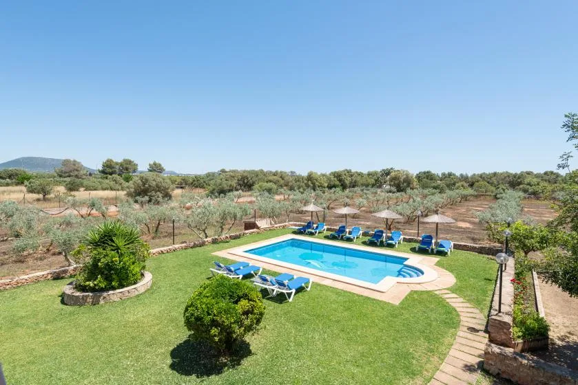 Una piscina al aire libre está junto a un césped y filas de árboles.