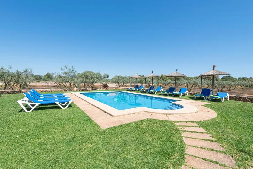 Una piscina está en un jardín con césped, tumbonas azules y sombrillas de paja.