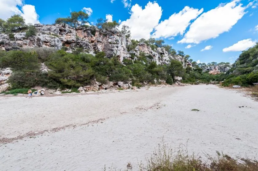 Una playa de arena se extiende bajo acantilados rocosos y árboles dispersos.