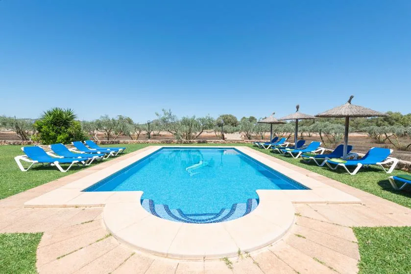 Una piscina está rodeada de tumbonas y zonas de césped.