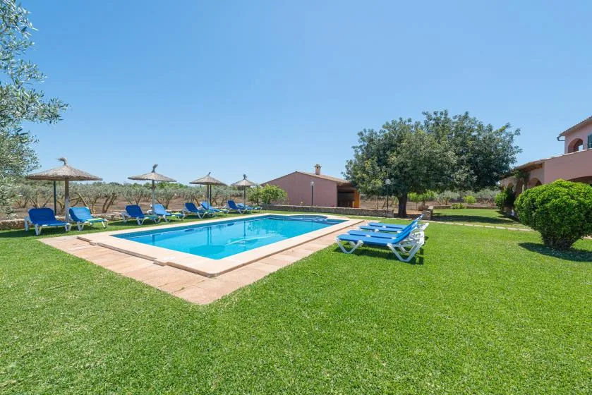 Una piscina al aire libre está en un jardín con césped y tumbonas cerca.