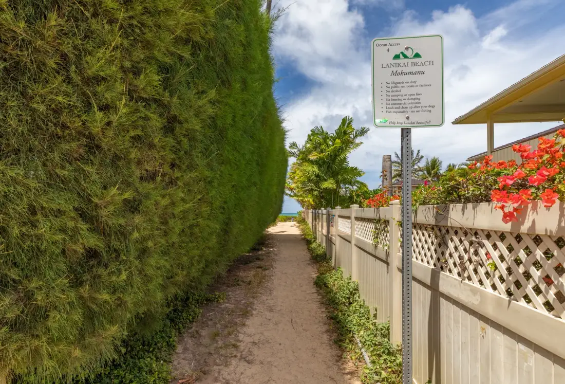 A sandy walkway runs beside a tall hedge and a white fence.