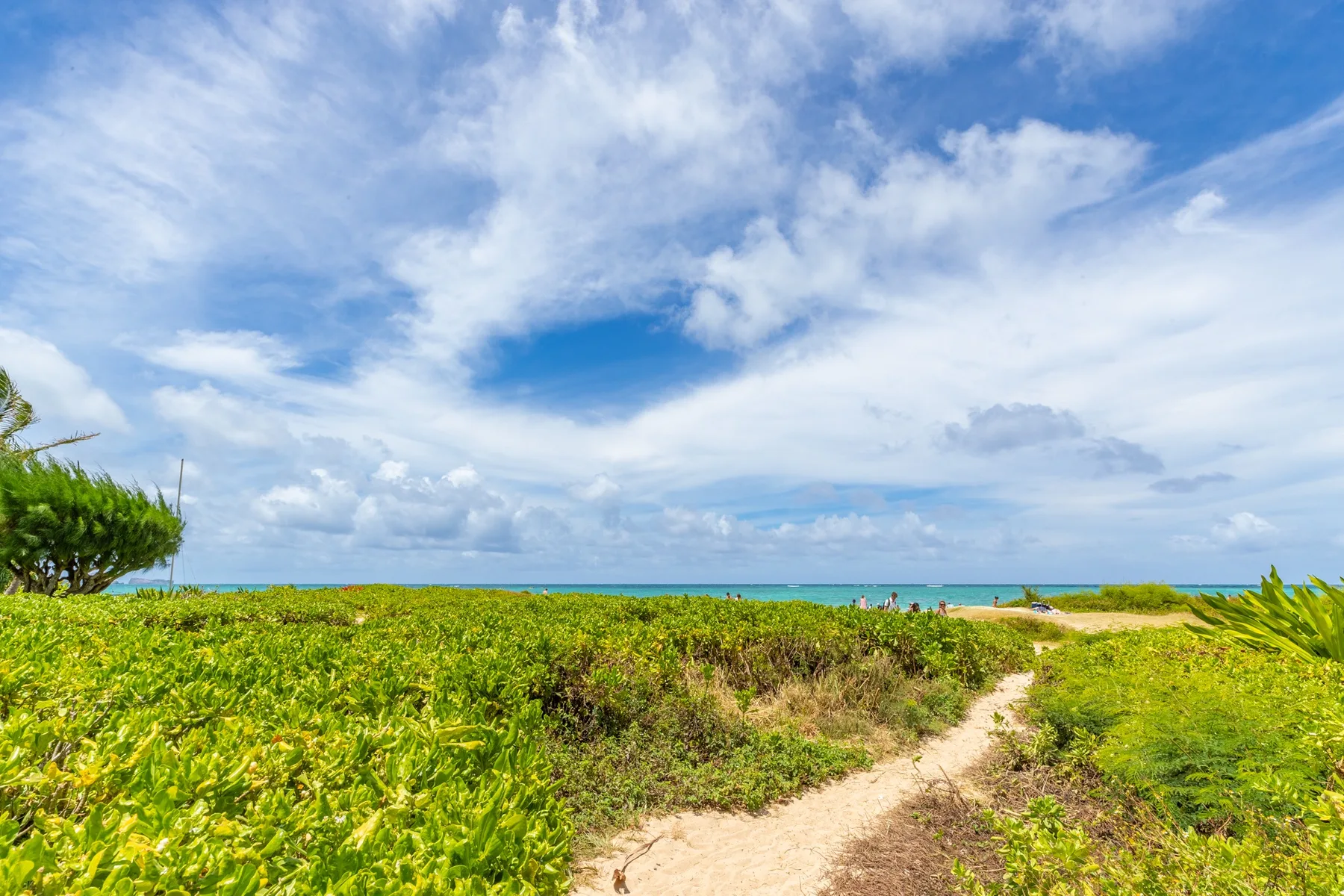 A sandy path winds through coastal vegetation toward the sea beneath a cloudy sky.