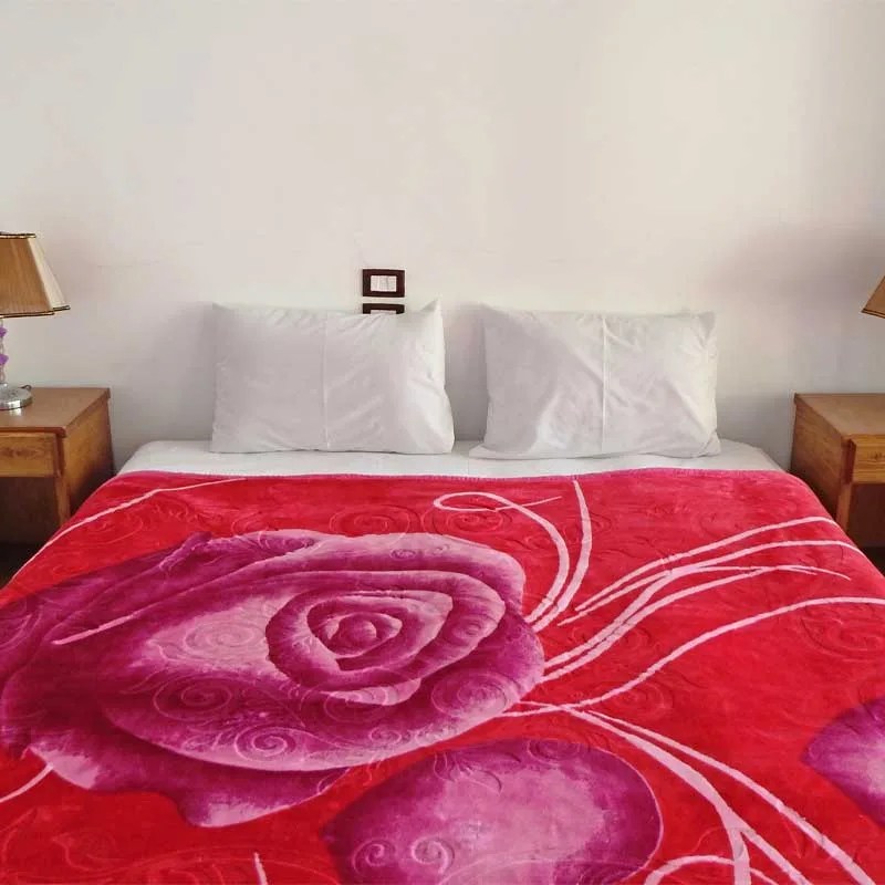 Habitación doble con vistas al jardín