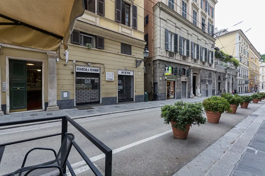 A city street lined with multi-story buildings and potted plants along the sidewalk.