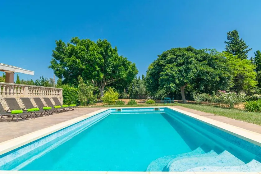 A turquoise swimming pool sits among trees and lounge chairs in a landscaped garden.