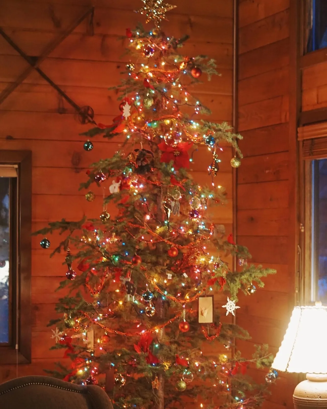 Árbol de Navidad en Good Medicine Lodge