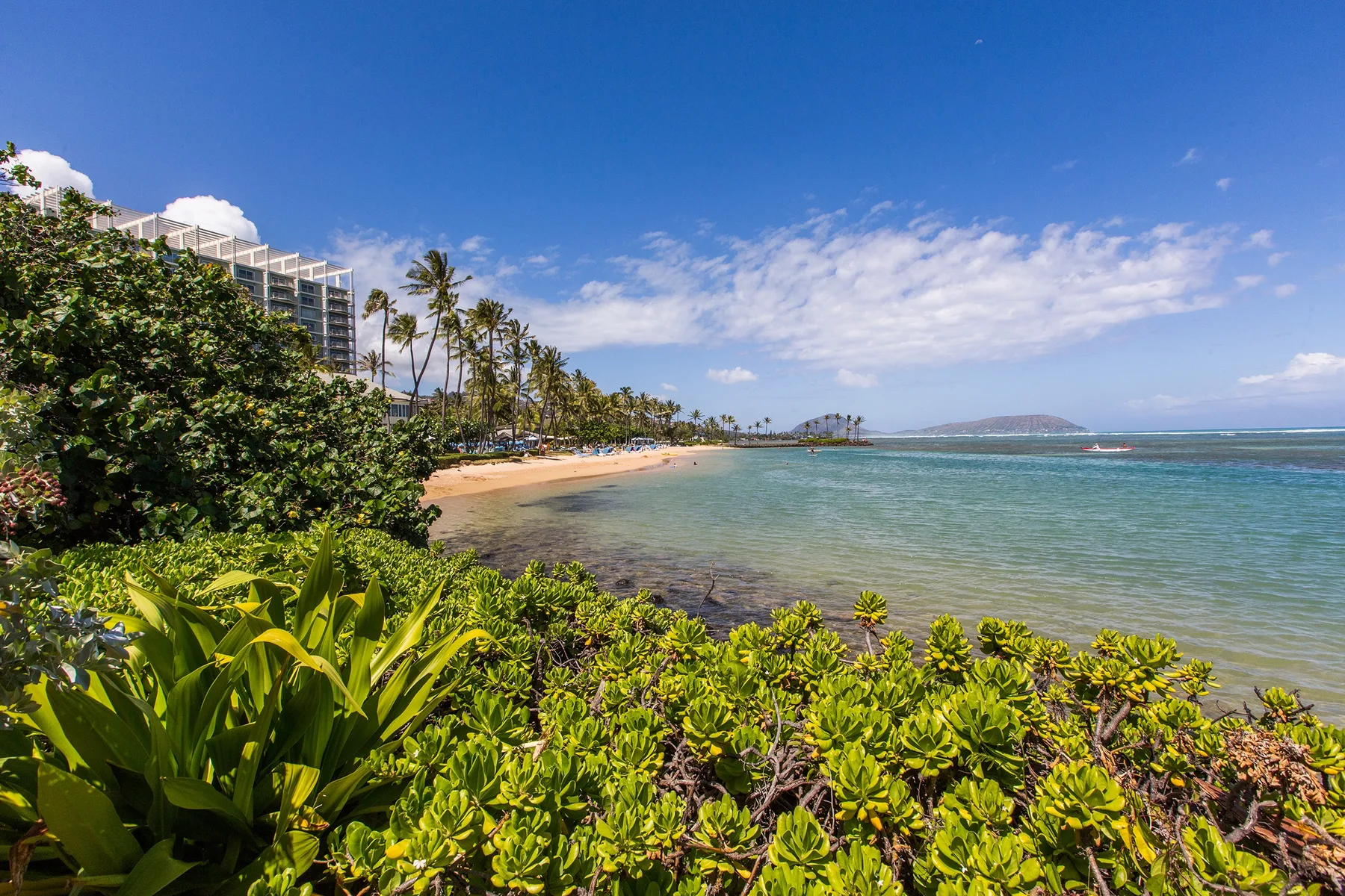 A tropical beach curves along the water beside green coastal plants.