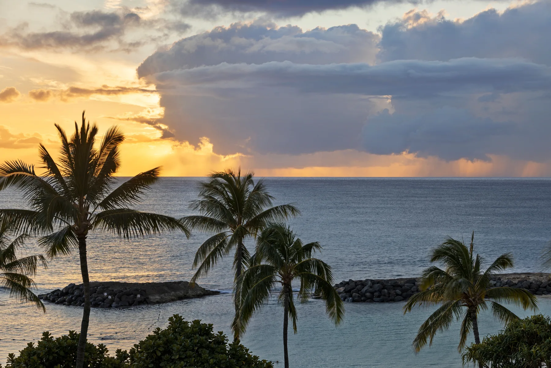 Vista al océano al atardecer con palmeras junto a la costa.
