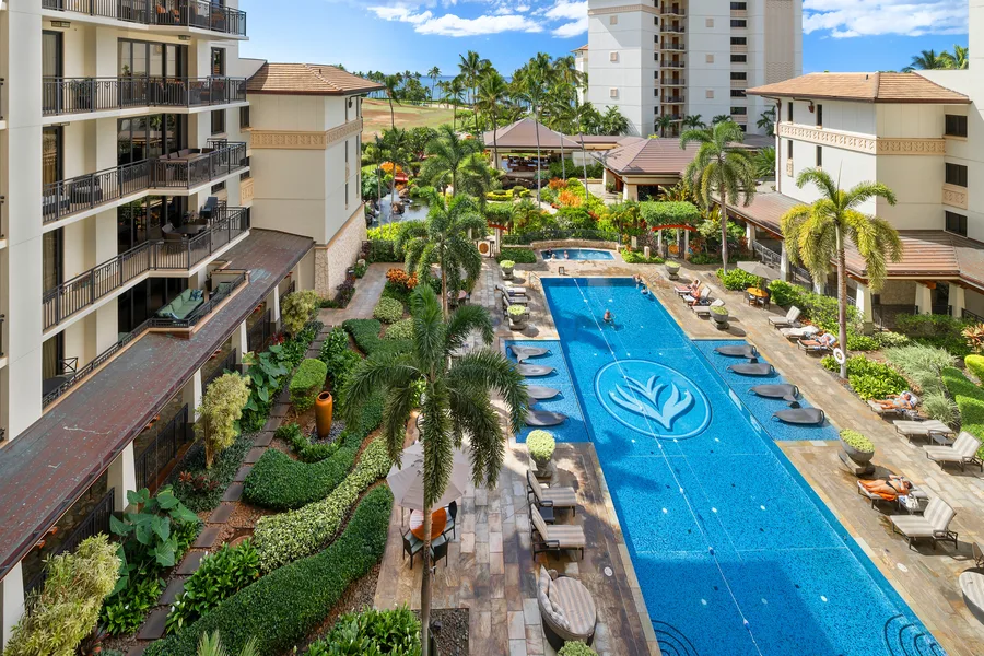 Una piscina en un patio está rodeada de palmeras y jardines.