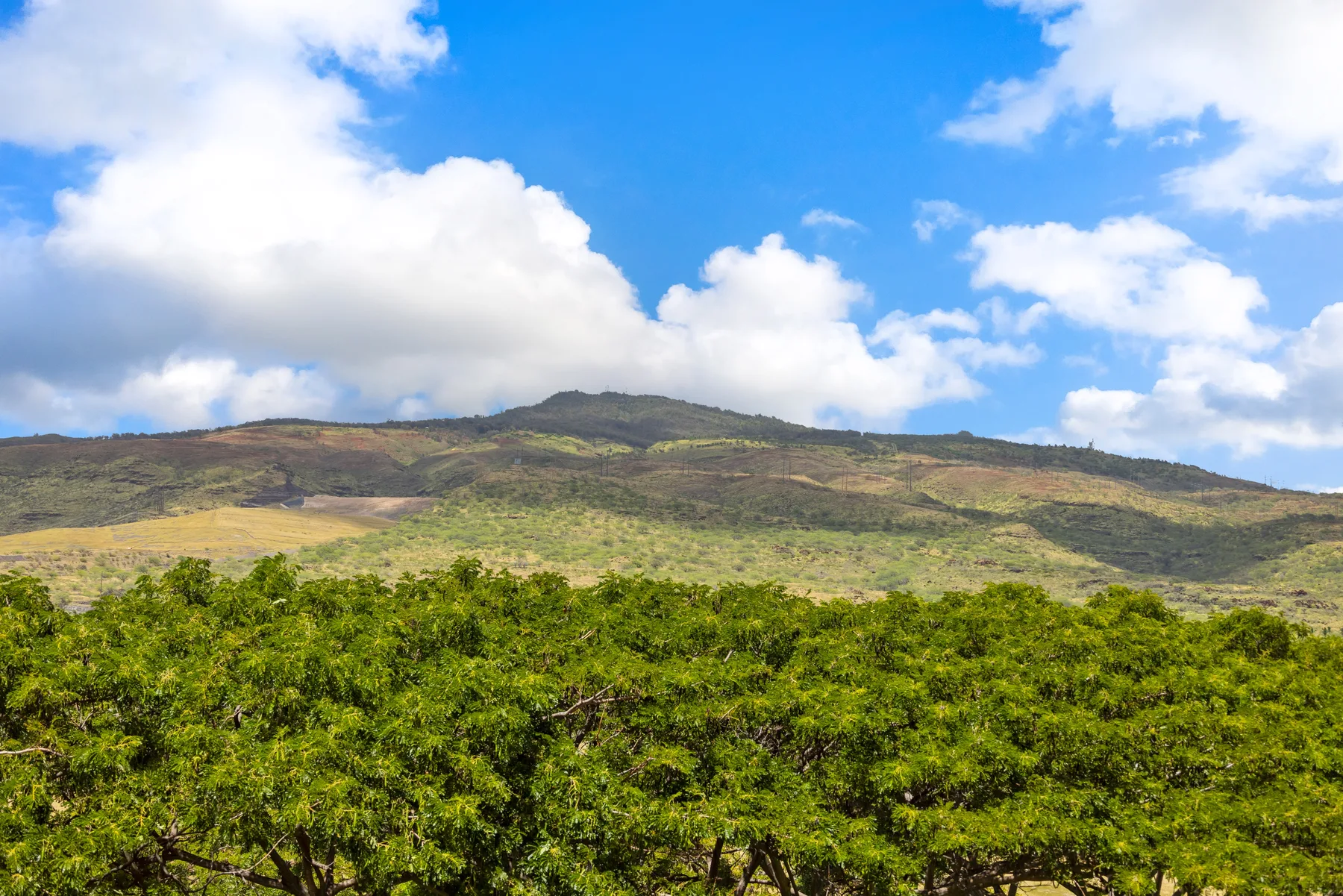 Un paisaje verde se extiende hacia colinas bajas bajo un cielo azul con nubes.