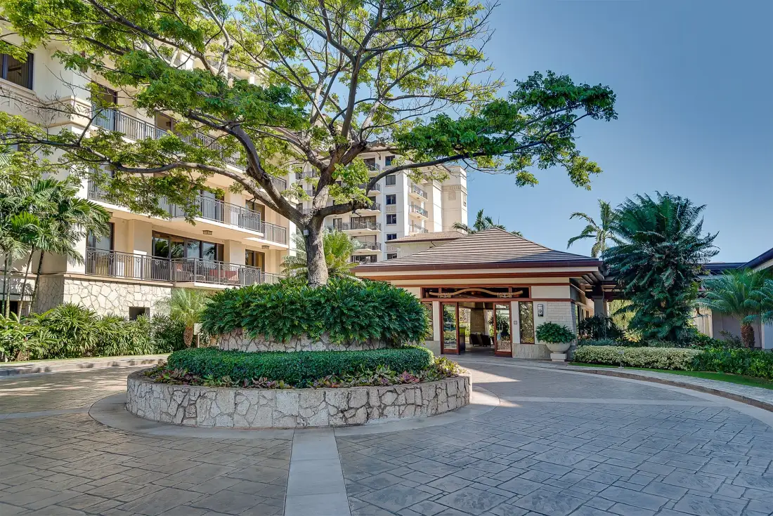 Un patio ajardinado con un árbol grande está frente a la entrada cubierta de un edificio.