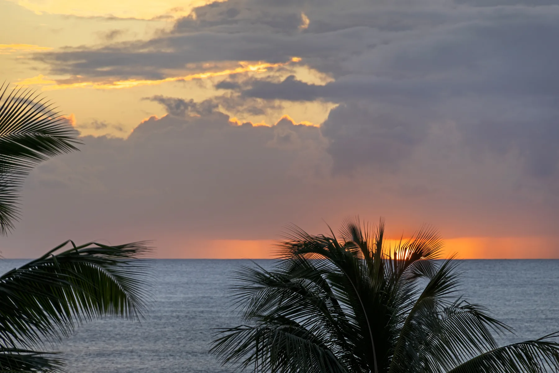 Las hojas de palmera enmarcan el océano bajo un cielo de atardecer colorido.