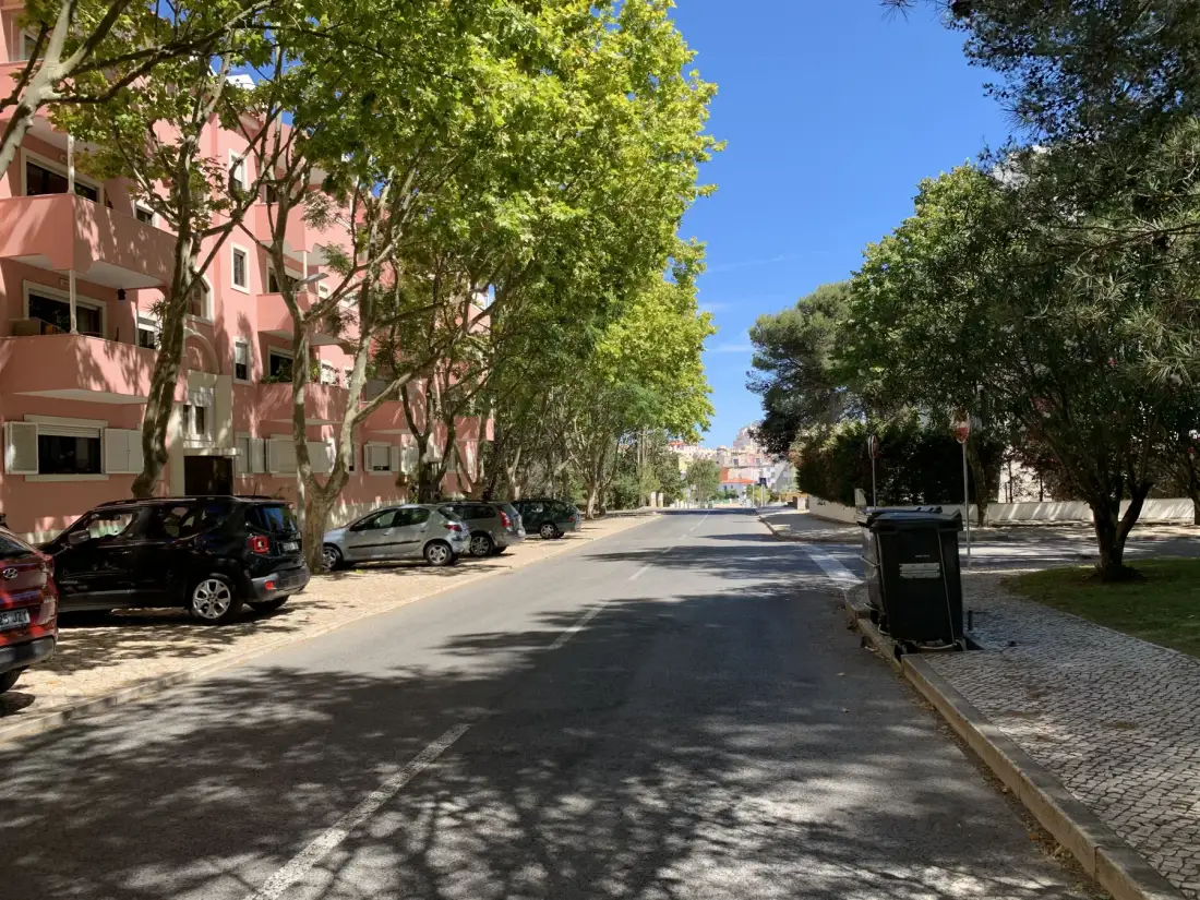Una calle residencial soleada, bordeada de árboles, coches aparcados y edificios de apartamentos.