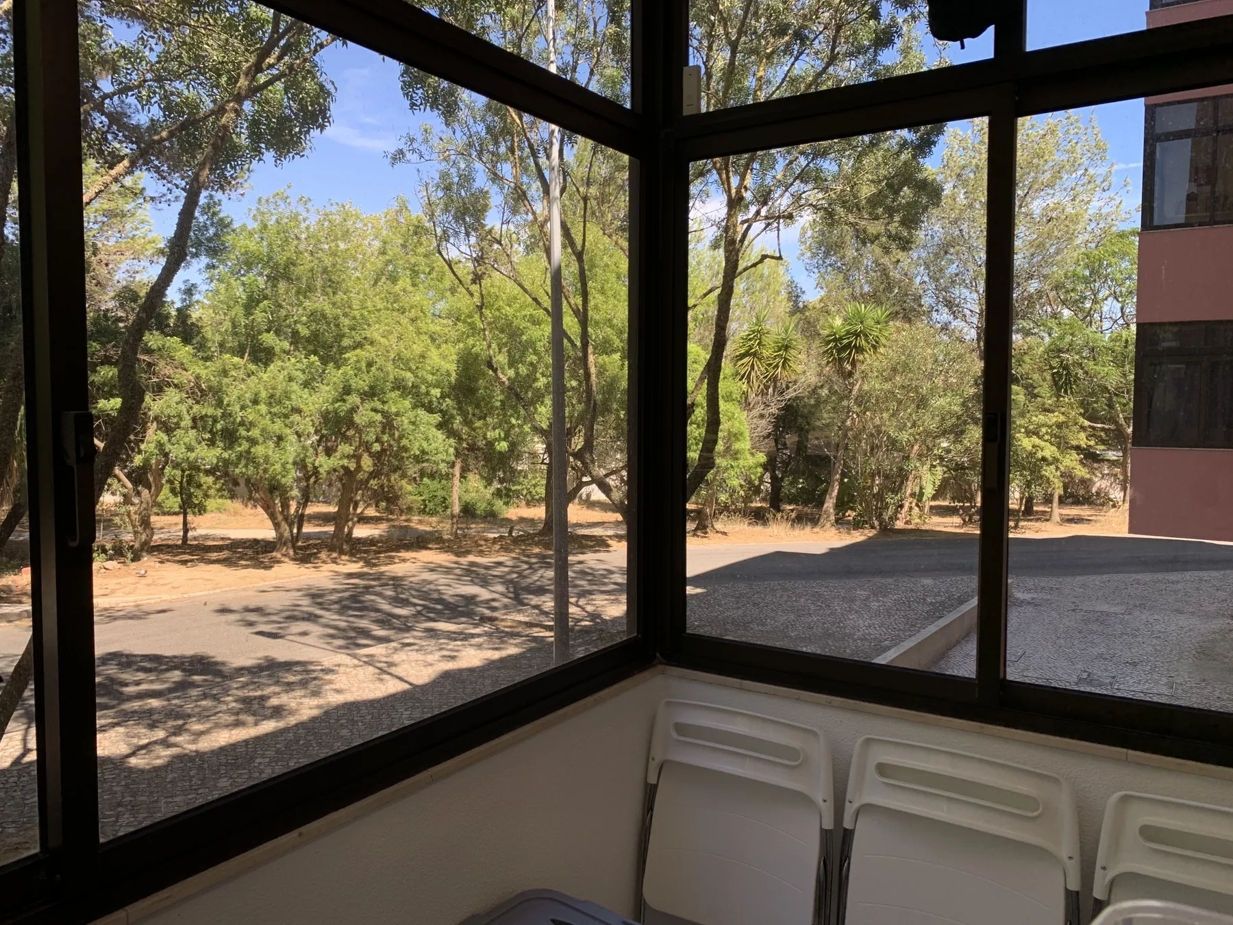 Un solárium acristalado da a una zona exterior arbolada.